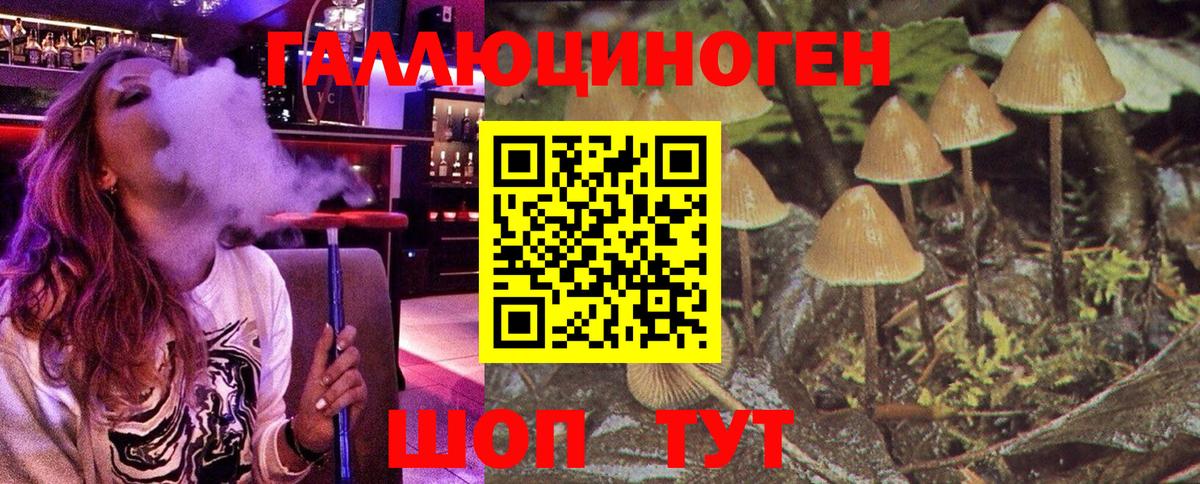 Галлюциногенные грибы Cubensis  Вышний Волочёк  Галлюциногенные грибы Psilocybine cubensis 