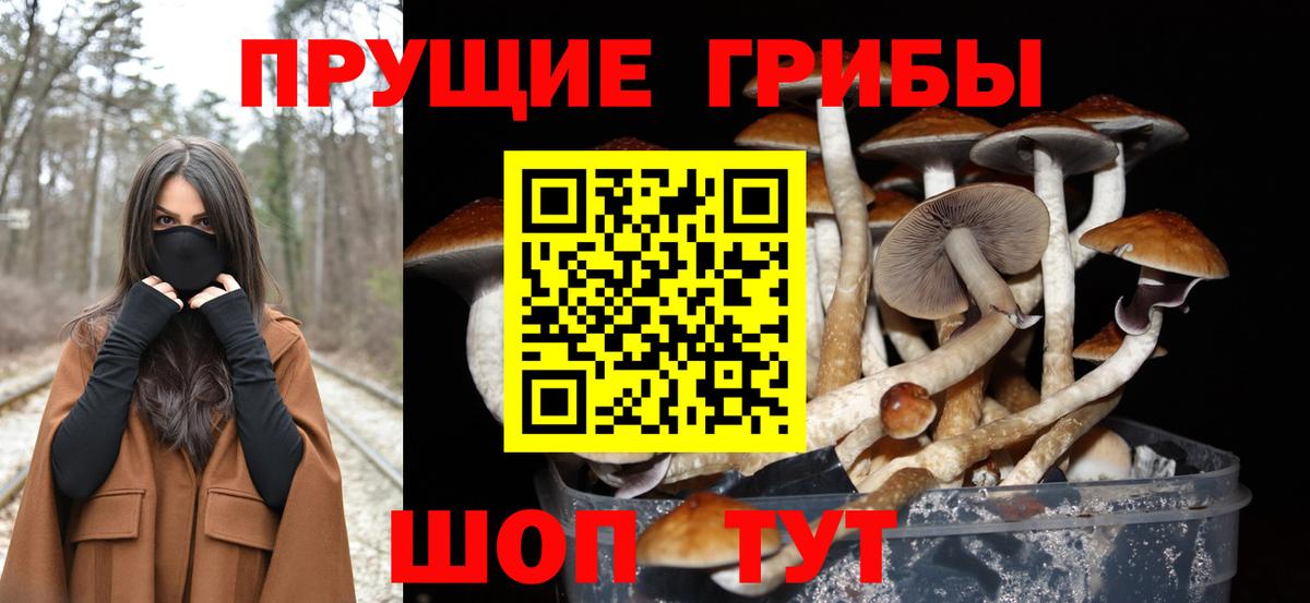 Вышний Волочёк  Галлюциногенные грибы Cubensis  Вход с VPN 