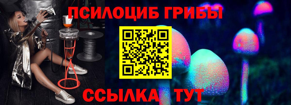 Псилоцибиновые грибы прущие грибы Вышний Волочёк