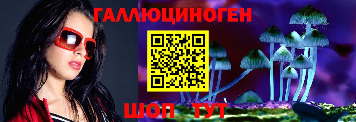 Псилоцибиновые грибы Cubensis Вышний Волочёк